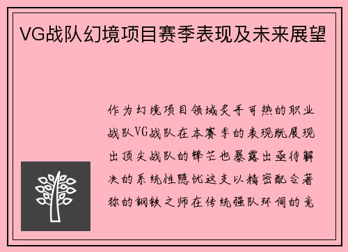 VG战队幻境项目赛季表现及未来展望