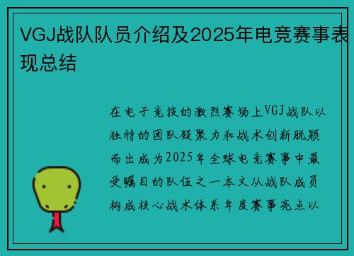 VGJ战队队员介绍及2025年电竞赛事表现总结